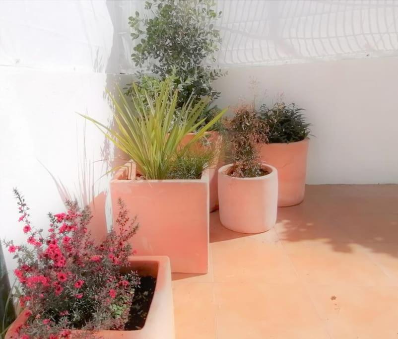 Cozy Apartment With Private Courtyard Barcarena Exterior photo
